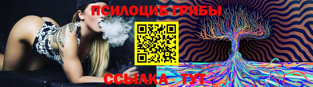 Галлюциногенные грибы GOLDEN TEACHER  Псилоцибиновые грибы MAGIC MUSHROOMS  Славгород  дарнет шоп  Вход с VPN 