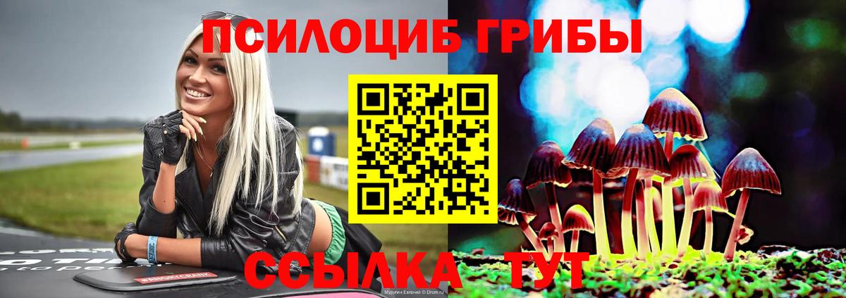 Галлюциногенные грибы MAGIC MUSHROOMS Славгород
